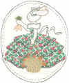 Bunny  carrying basket of carrots